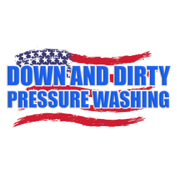 Down And Dirty Pressure Washing