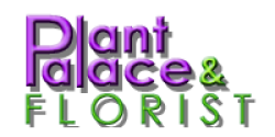 The Plant Palace