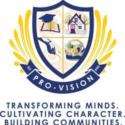 Pro-Vision, Inc