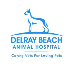 Delray Beach Animal Hospital - Veterinarian Delray Beach