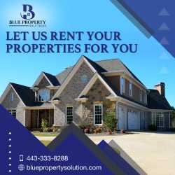 Blue Property Solutions LLC