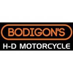 Bodigon's H-D Motorcycle