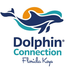 Dolphin Connection
