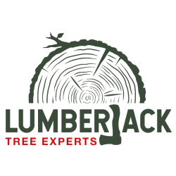 LumberJack Tree Experts