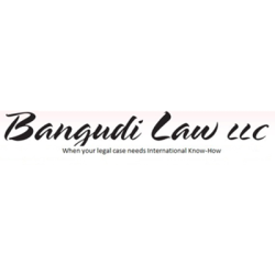 Bangudi Law LLC