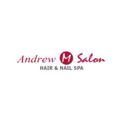 Andrew M. Salon