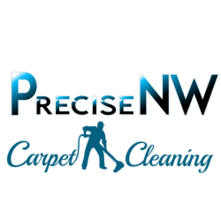 Precise NW Carpet Cleaning