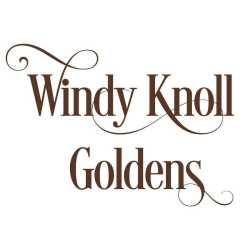 Windy Knoll Goldens