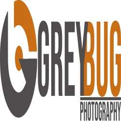 Grey Bug Photography