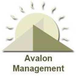 The Avalon Management Group, Inc.