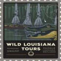 Wild Louisiana Kayak Swamp Tours