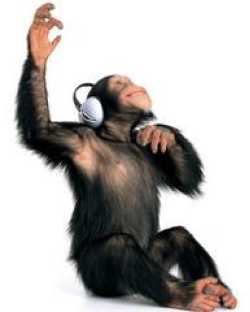 Digital Monkey Music