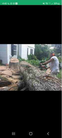 Andy's Landscaping & Tree Service