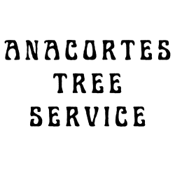 Anacortes Tree Service