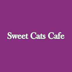 Sweet Cats Cafe & Arcade