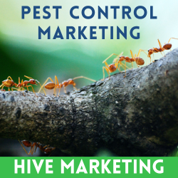 Hive Marketing
