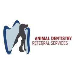 Animal Dentistry Referral Services