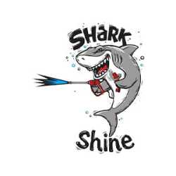 Shark Shine Auto Detail