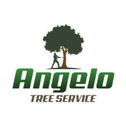 Angelo Tree Services
