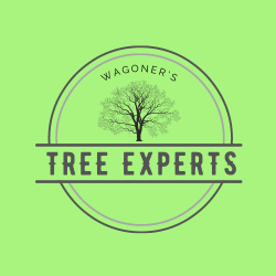 Wagoners Tree Experts