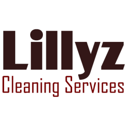 Lillyz Comercio Services