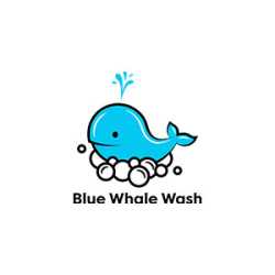 Whale Wash Touchless Car Wash