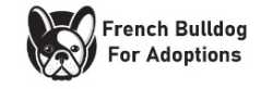 English & French Bulldogs - California Bulldog Association