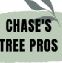 Chase's Tree Pros - Slidell