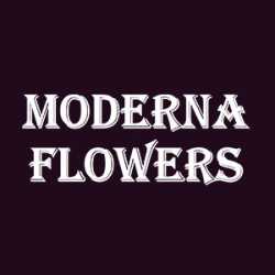 Moderna Flowers