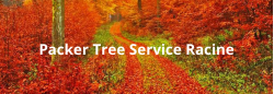 Packer Tree Service Racine