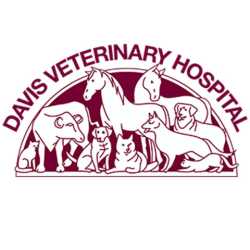Davis Veterinary Hospital