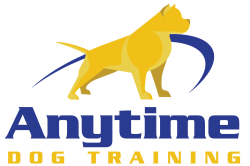 Anytime Dog Training