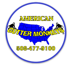 American Gutter Monkeys