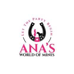 Ana's World of Minis