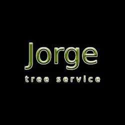 Jorge tree service