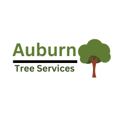 Auburn Tree Services