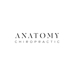 Anatomy Chiropractic