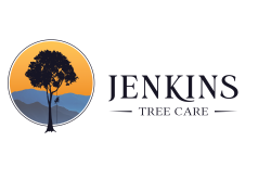 Jenkins Tree Care