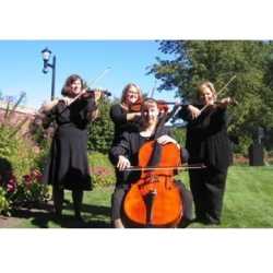 Rondo String Quartet