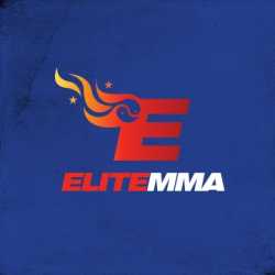 Elite Mixed Martial Arts - Westchase