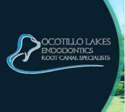 Ocotillo Lakes Endodontics Chandler AZ - Endodontist ( Dr. Masood Sirjani, DDS, PharmD)