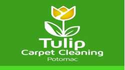 Tulip Carpet Cleaning Potomac