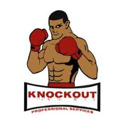 Knockout Professional Services