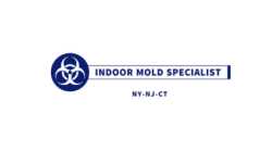 Indoor Mold Specialist
