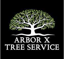 Arbor X Tree Service Leland