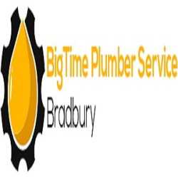 BigTime Plumber Service