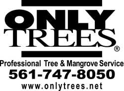 Only Trees LLC