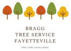 Bragg Tree Service Fayetteville NC