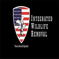 CT Wildlife Removal