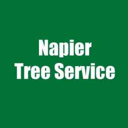 Napier Tree Service